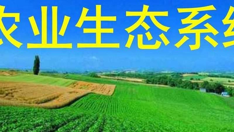 大棚农业种植技术哪家好