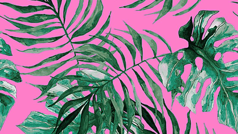 水源选择：种植地块的“生命之源”**