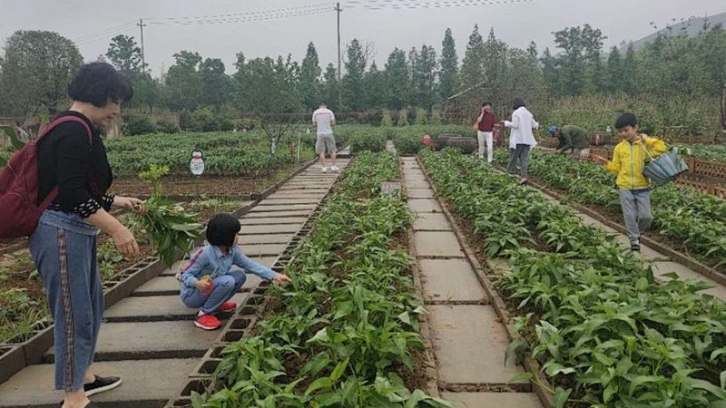 行业现状：食品安全与效率的双重挑战