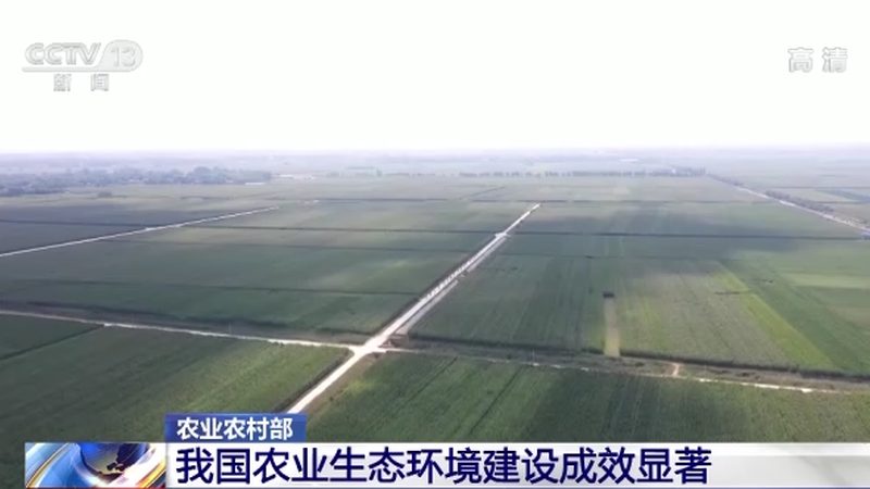 绿色食品标签真伪辨析：揭秘查询方法与技巧