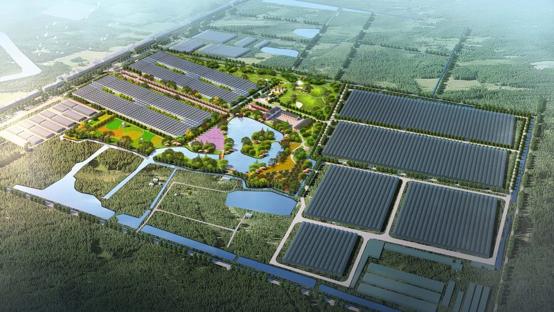 智慧农业种植系统定制方案：打造高效可持续的农田生态