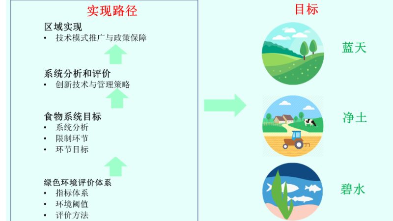 广州社区生鲜配送平台：构建健康生活的最后一公里