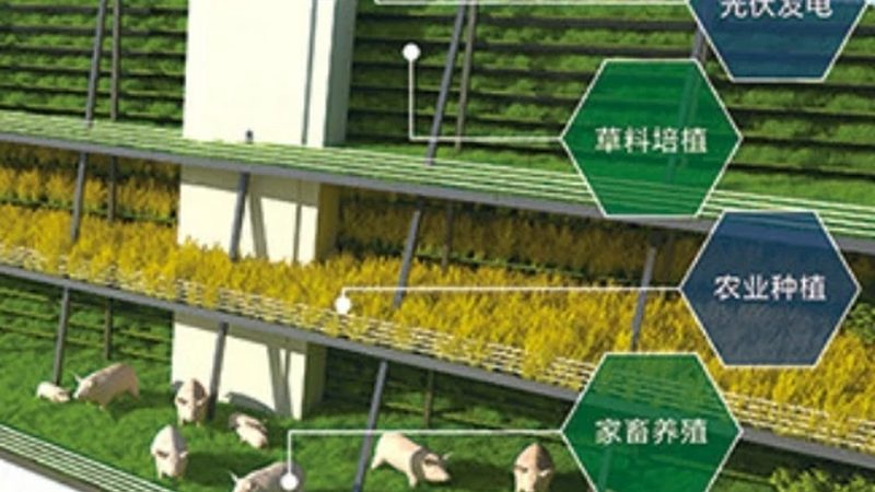 设施农业加盟十大品牌