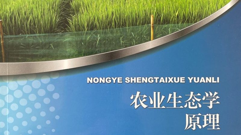 采摘节活动策划：从筹备到成功的全流程解析
