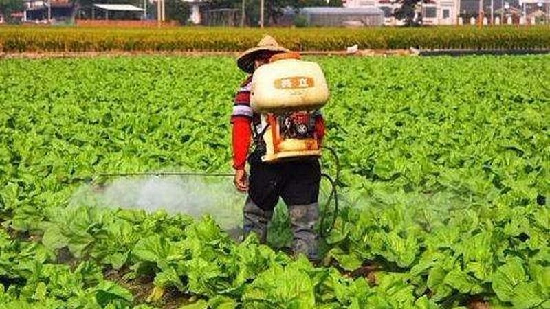 社区团购从生鲜到盈利：农业生态视角下的赚钱逻辑