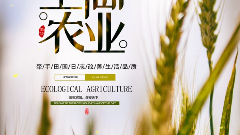 农资批发，如何避免踩坑？流程及注意事项全解析**